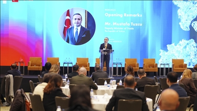 Development experts gather in Istanbul to discuss future of global growth