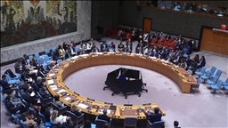 СБ ООН принял предложенную США резолюцию о создании «Международных сил стабилизации» в Газе