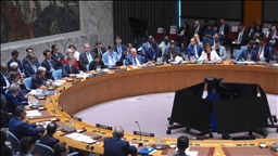 UN Security Council adopts resolution establishing Gaza Board of Peace, stabilization force