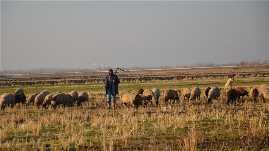 Li Mûşê ji ber hewaya germ ajeldar kêfxweş in