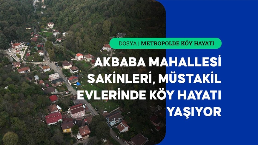 İstanbul\'un köy hayatı süren mahallelerinde stresten uzak organik yaşam