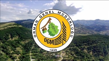 Orman Genel Müdürlüğünün 496 sözleşmeli personel alımına ilişkin detaylar belli oldu