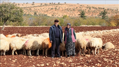 İkinci baharlarında belediyeden aldıkları destekle besici oldular