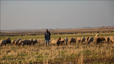 Li Mûşê ji ber hewaya germ ajeldar kêfxweş in