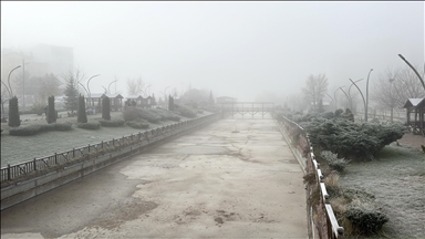 Li Sêwasê mijê tesîra xwe nîşan da