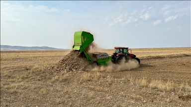 Kırşehir'de verimi artırmak amacıyla tarlalardaki taşlar toplanıyor