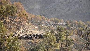 Dagêra koçeran a ber bi qişleyan va dewam dike