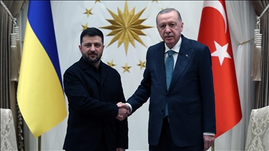 Turkish, Ukrainian presidents meet in Ankara