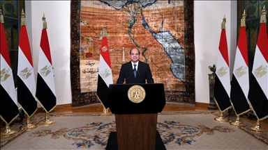 السيسي يدعو المصريين لاختيار "الأفضل" بانتخابات البرلمان