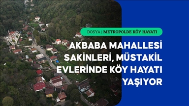 İstanbul'un köy hayatı süren mahallelerinde stresten uzak organik yaşam