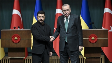 Zelenskyy voices hope for renewed prisoner swaps with Russia by end of year