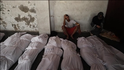 Число погибших в результате израильских атак на Газу возросло до 69 513 человек