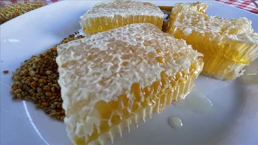 Yenice ıhlamur balı AB'den coğrafi işaret tescili aldı