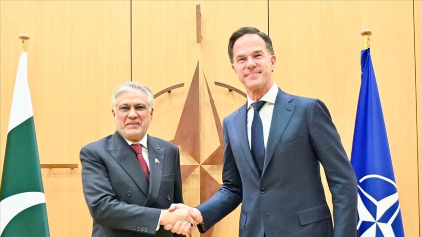 NATO chief, Pakistan's foreign minister discuss cooperation