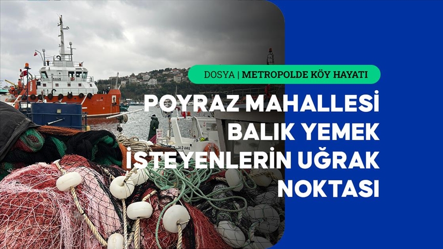 Boğaz'a nazır Poyraz Mahallesi sakinleri ekmeğini denizden çıkarıyor