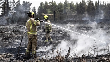 إعلام عبري: 20 درزيًا سوريًا سيتدربون في إسرائيل على مكافحة الحرائق