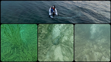 Sapanca Gölü'nde oluşan kabarcıkların su kalitesine zarar vermediği belirlendi