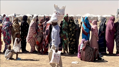 1,700 Sudanese children suffering from malnutrition in Tawila camp, local group warns