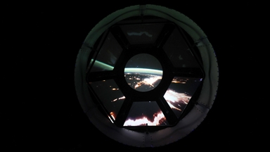 Moss survives 9 months in space: Study