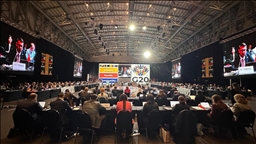 Premier sommet des dirigeants du G20 en Afrique