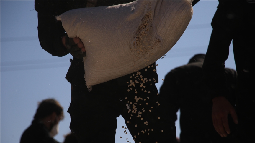 Министерство внутренних дел Сирии изъяло 90 тысяч таблеток каптагона