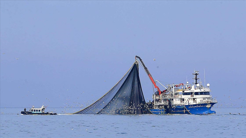Su sıcaklığının düşmediği Karadeniz\'de hamsi soğuk sulara yöneldi