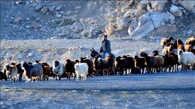 Rêwîtiya dagêrê ya koçeran ji zozanên Qersê berdewam dike