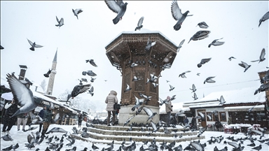 Snijeg zabijelio Sarajevo, problemi u saobraćaju širom BiH 