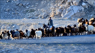 Kars yaylalarındaki göçerlerin dönüş yolculuğu devam ediyor