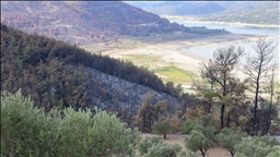 Syria battles forest fires in Latakia countryside