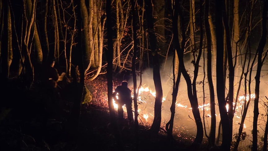 Ordu'da çıkan örtü yangınına müdahale ediliyor