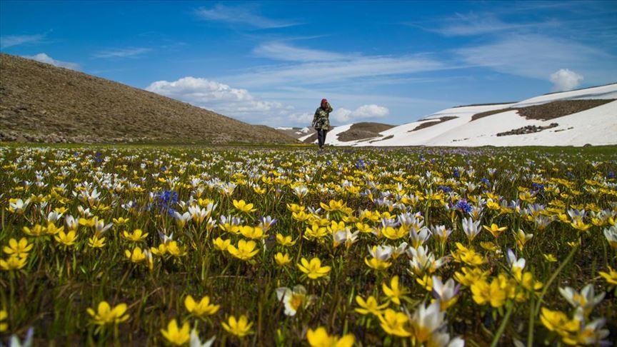 Türkiye’nin bitki bazlı gıdalardaki potansiyeli artıyor