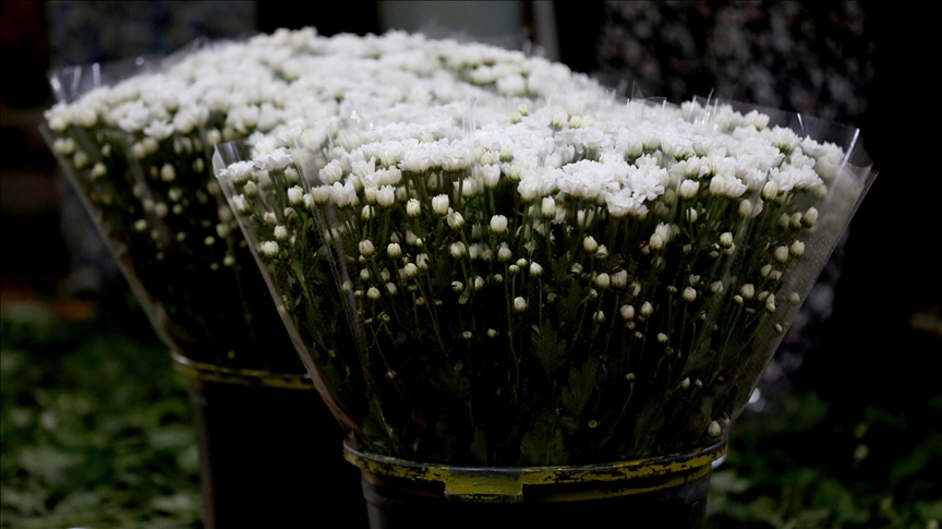 Antalya\'da çiçek mezatlarında Öğretmenler Günü yoğunluğu