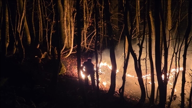 Ordu'da çıkan örtü yangınına müdahale ediliyor