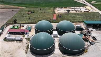 محطة تركية تنير 5 آلاف منزل من نفايات نباتية وحيوانية