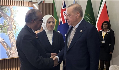 Президент Эрдоган встретился с гендиректором ВОЗ на полях G20