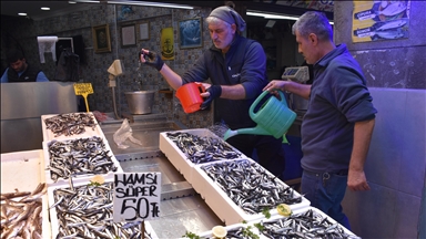 Trabzon'da balıkçı tezgahlarını hamsi süslüyor