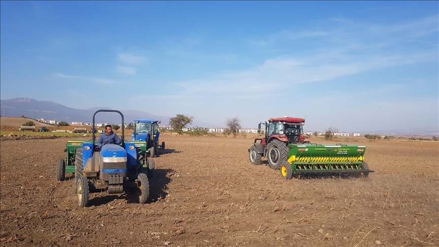 Li Deşta Îslahiyeyê ya Gazîentabê reşandina tovê genim dest pê kir 