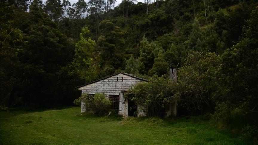 Japoni, kompanitë përdorin satelitë dhe inteligjencë artificiale për të gjetur shtëpi të braktisura për t'i shitur