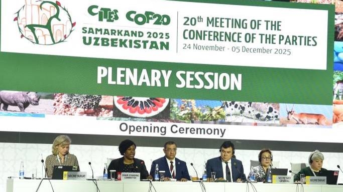 В Самарканде открылась 20-я Конференция сторон Конвенции CITES (CoP20)