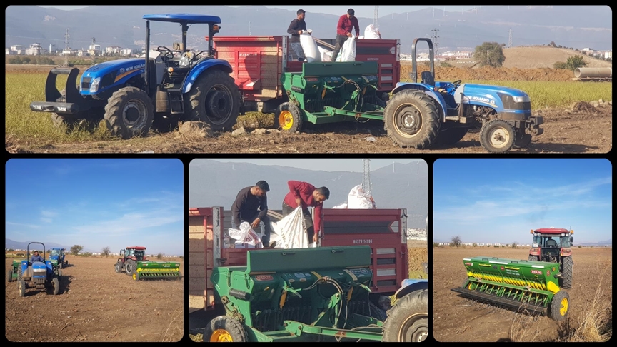 Gaziantep'teki İslahiye Ovası'nda buğday ekimine başlandı