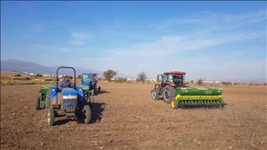 Li Deşta Îslahiyeyê ya Gazîentabê reşandina tovê genim dest pê kir 