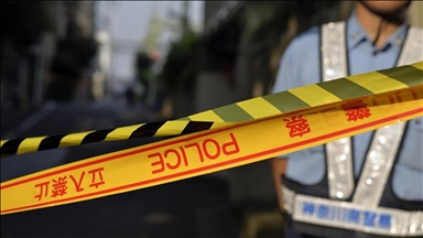 4 killed, 20 injured in Japan, South Korea after cars ram into pedestrians