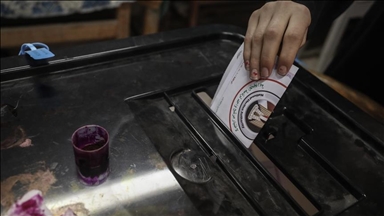 Egyptians begin voting in 2nd phase of parliamentary elections