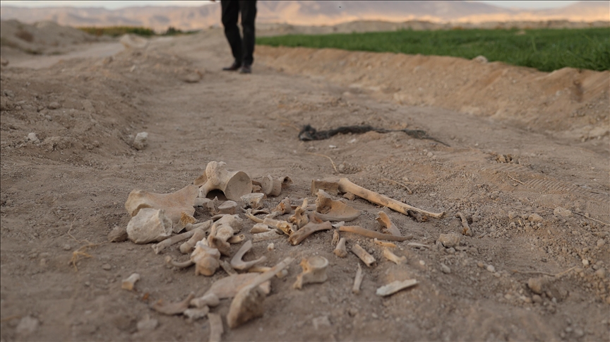 Suriye\'nin Humus ilinde dört toplu mezar bulundu