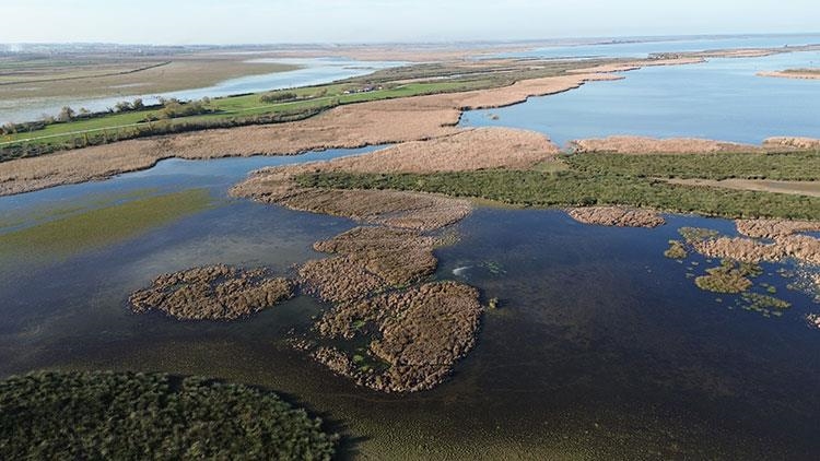 Samsun Kızılırmak Deltası'nda suları çekilen göller sonbahar yağışlarıyla canlandı