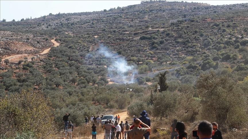 الضفة.. إسرائيل تقرر تدمير منطقة شجرية بمساحة 59 دونما