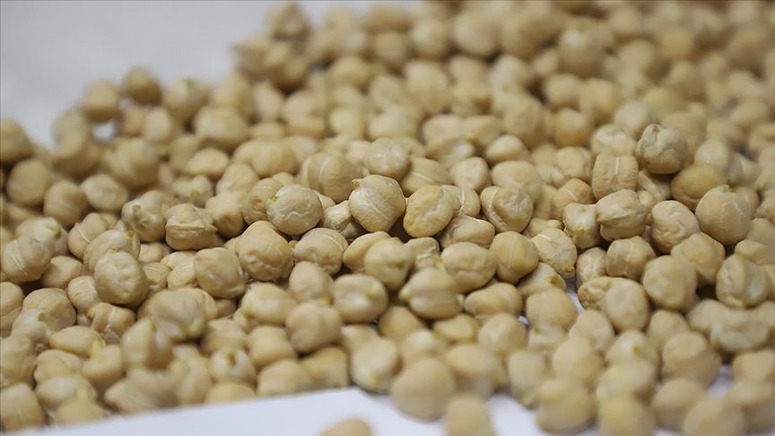 Nohut ithalatında gözetim uygulamasına ilişkin tebliğ yürürlükten kaldırıldı