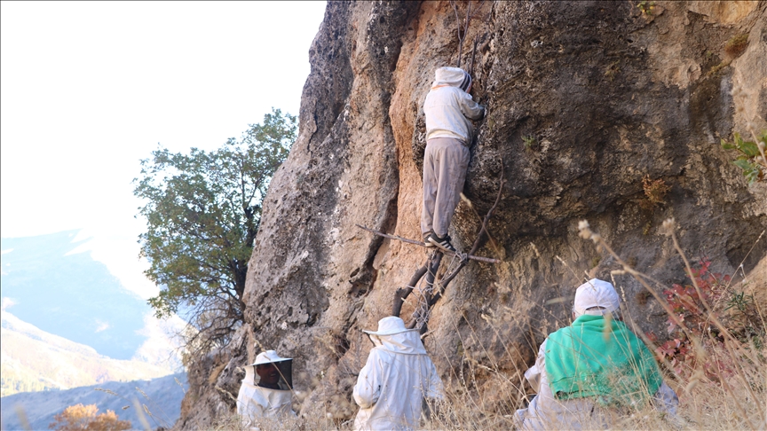 Li devera çiyayî ya bi kîlometreyan rê meşiyan û xwe gihandin wir di qefa keviran da hingiv kom kirin