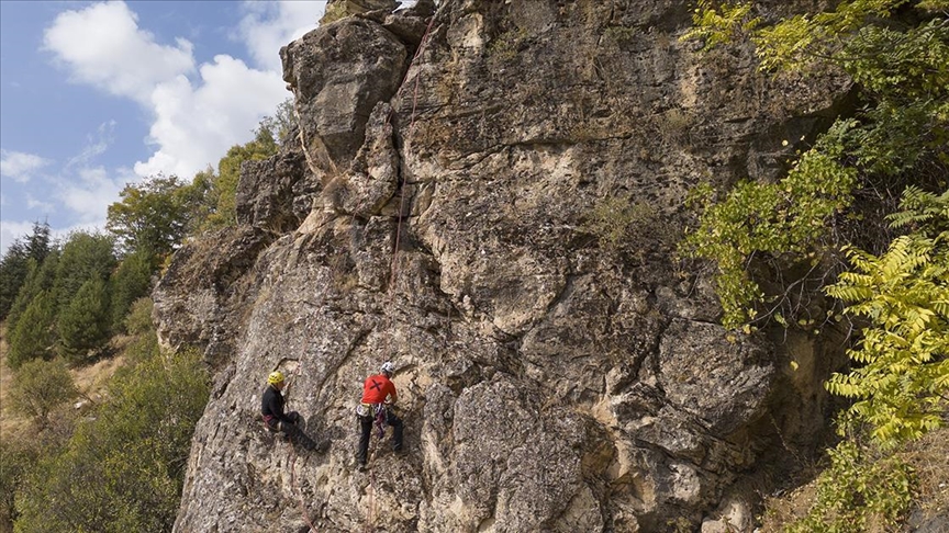 2 climbers die after fall on New Zealand's highest peak, 2 others rescued